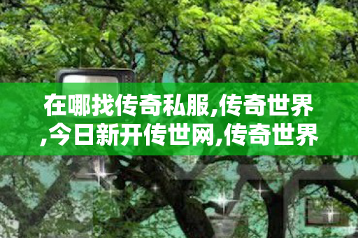 在哪找传奇私服,传奇世界,今日新开传世网,传奇世界