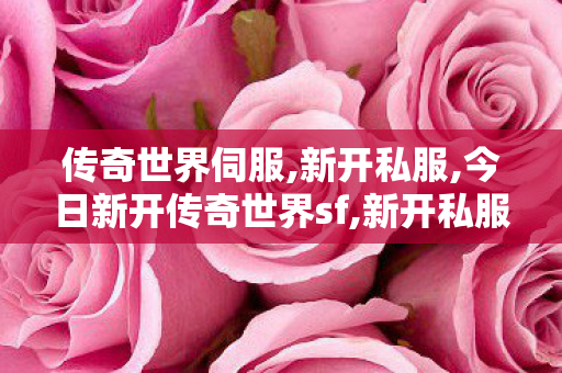 传奇世界伺服,新开私服,今日新开传奇世界sf,新开私服