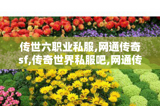 传世六职业私服,网通传奇sf,传奇世界私服吧,网通传奇sf