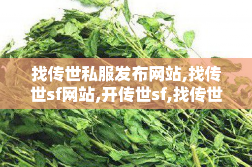 找传世私服发布网站,找传世sf网站,开传世sf,找传世sf网站