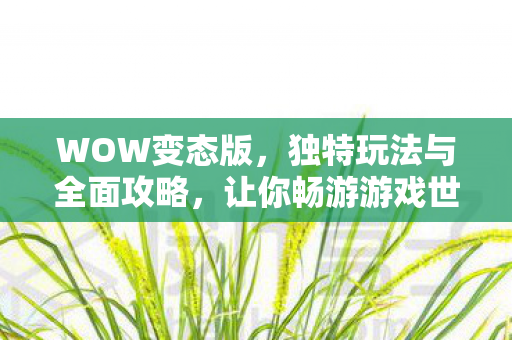 WOW变态版，独特玩法与全面攻略，让你畅游游戏世界