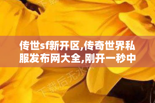 传世sf新开区,传奇世界私服发布网大全,刚开一秒中变传奇发布网,传奇世界私服发布网大全
