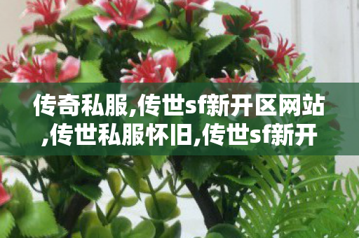传奇私服,传世sf新开区网站,传世私服怀旧,传世sf新开区网站