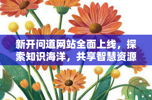 新开问道网站全面上线，探索知识海洋，共享智慧资源