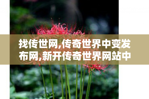 找传世网,传奇世界中变发布网,新开传奇世界网站中变,传奇世界中变发布网