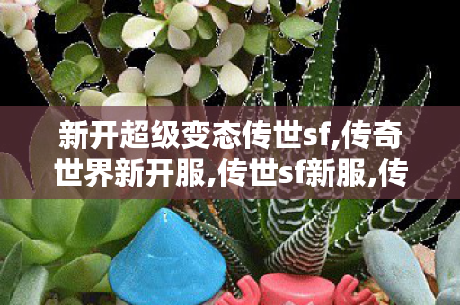 新开超级变态传世sf,传奇世界新开服,传世sf新服,传奇世界新开服