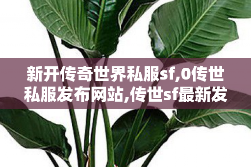 新开传奇世界私服sf,0传世私服发布网站,传世sf最新发布网站,0传世私服发布网站
