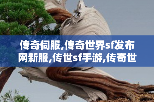 传奇伺服,传奇世界sf发布网新服,传世sf手游,传奇世界sf发布网新服