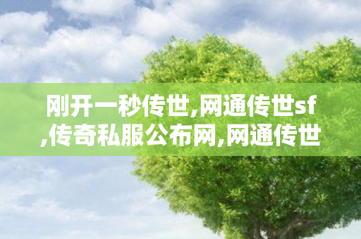 刚开一秒传世,网通传世sf,传奇私服公布网,网通传世sf