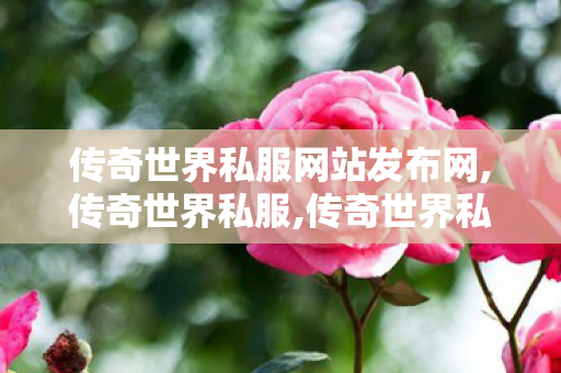 传奇世界私服网站发布网,传奇世界私服,传奇世界私服新开,传奇世界私服