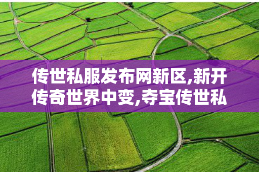 传世私服发布网新区,新开传奇世界中变,夺宝传世私服发布网,新开传奇世界中变