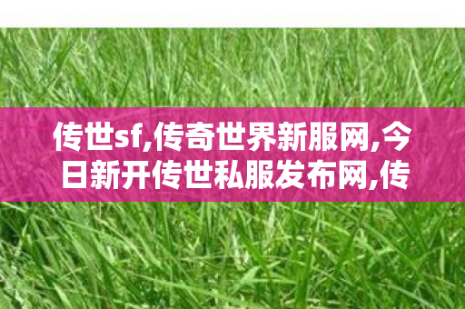 传世sf,传奇世界新服网,今日新开传世私服发布网,传奇世界新服网