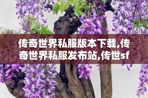 传奇世界私服版本下载,传奇世界私服发布站,传世sf技巧,传奇世界私服发布站