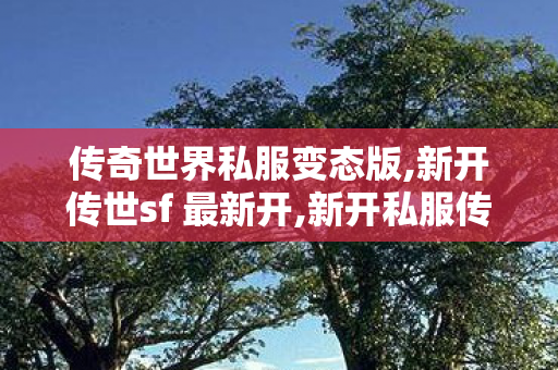 传奇世界私服变态版,新开传世sf 最新开,新开私服传世,新开传世sf 最新开