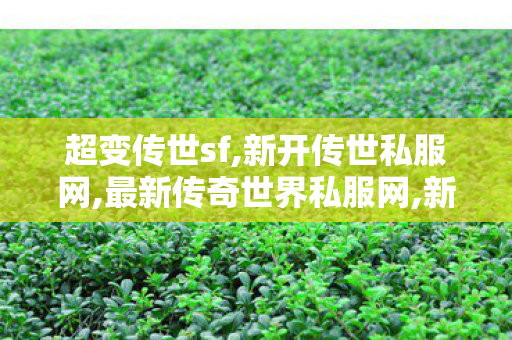 超变传世sf,新开传世私服网,最新传奇世界私服网,新开传世私服网