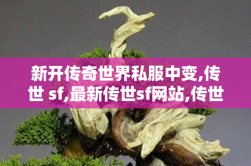新开传奇世界私服中变,传世 sf,最新传世sf网站,传世 sf