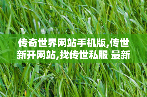 传奇世界网站手机版,传世新开网站,找传世私服 最新开,传世新开网站
