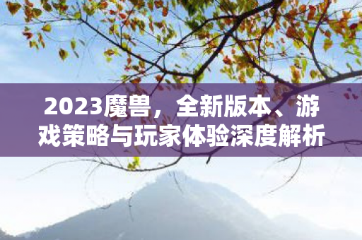 2023魔兽，全新版本、游戏策略与玩家体验深度解析