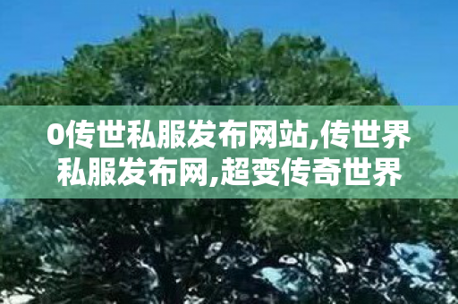 0传世私服发布网站,传世界私服发布网,超变传奇世界私服网,传世界私服发布网