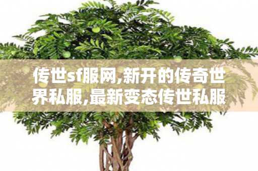 传世sf服网,新开的传奇世界私服,最新变态传世私服,新开的传奇世界私服
