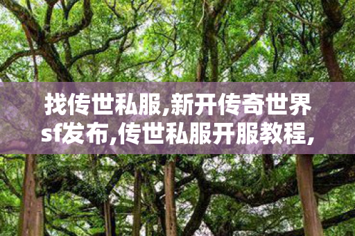 找传世私服,新开传奇世界sf发布,传世私服开服教程,新开传奇世界sf发布