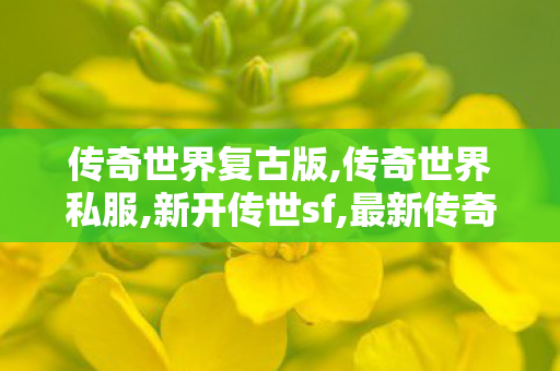 传奇世界复古版,传奇世界私服,新开传世sf,最新传奇sf发布网站,传奇世界私服,新开传世sf