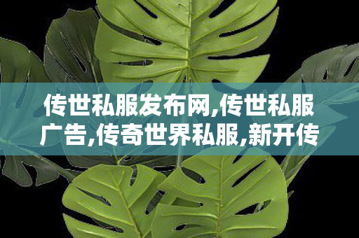 传世私服发布网,传世私服广告,传奇世界私服,新开传世sf网,传世私服广告
