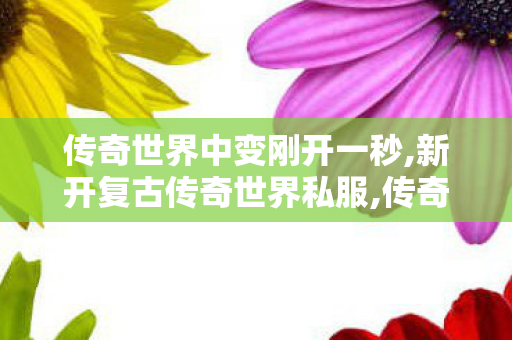 传奇世界中变刚开一秒,新开复古传奇世界私服,传奇世界sf发布网站,新开复古传奇世界私服