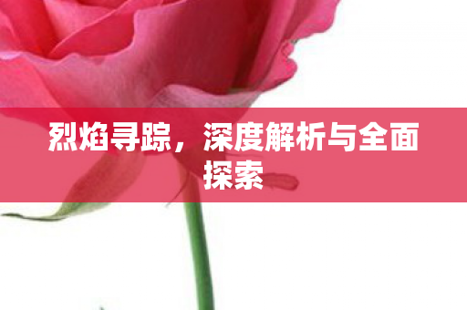 烈焰寻踪，深度解析与全面探索