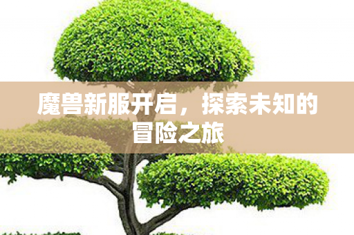 魔兽新服开启，探索未知的冒险之旅