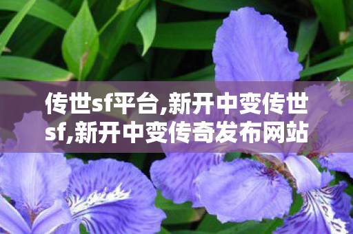 传世sf平台,新开中变传世sf,新开中变传奇发布网站,新开中变传世sf