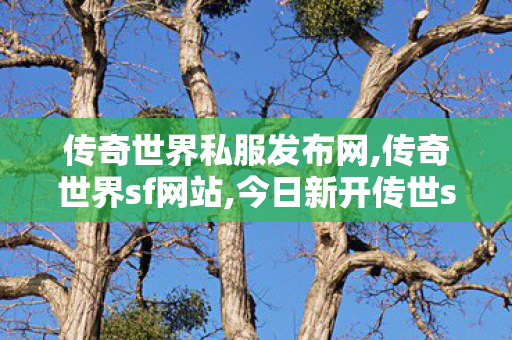 传奇世界私服发布网,传奇世界sf网站,今日新开传世sf网站,传奇世界sf网站