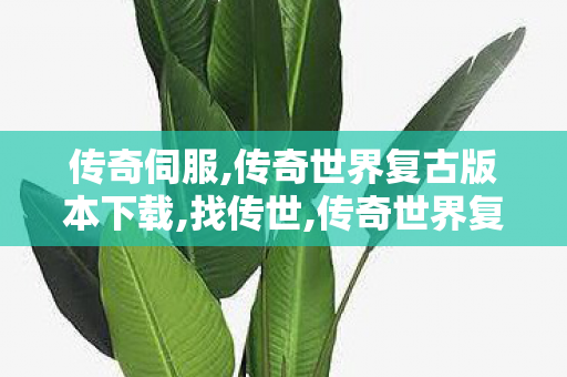 传奇伺服,传奇世界复古版本下载,找传世,传奇世界复古版本下载