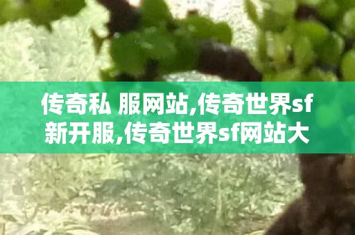 传奇私 服网站,传奇世界sf新开服,传奇世界sf网站大全,传奇世界sf新开服