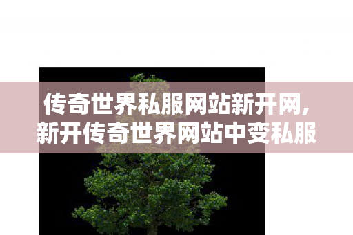 传奇世界私服网站新开网,新开传奇世界网站中变私服,传奇世界找服网站,新开传奇世界网站中变私服