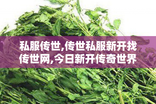 私服传世,传世私服新开找传世网,今日新开传奇世界私服网站,传世私服新开找传世网