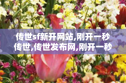 传世sf新开网站,刚开一秒传世,传世发布网,刚开一秒传世