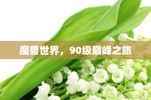 魔兽世界，90级巅峰之旅