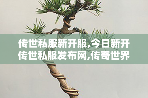 传世私服新开服,今日新开传世私服发布网,传奇世界中变刚开一秒,今日新开传世私服发布网