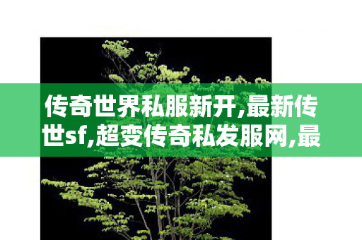 传奇世界私服新开,最新传世sf,超变传奇私发服网,最新传世sf
