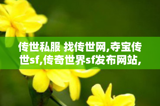 传世私服 找传世网,夺宝传世sf,传奇世界sf发布网站,夺宝传世sf