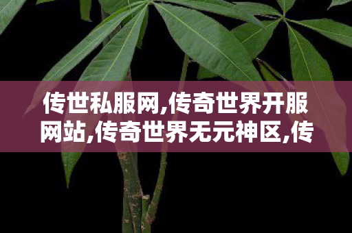 传世私服网,传奇世界开服网站,传奇世界无元神区,传奇世界开服网站