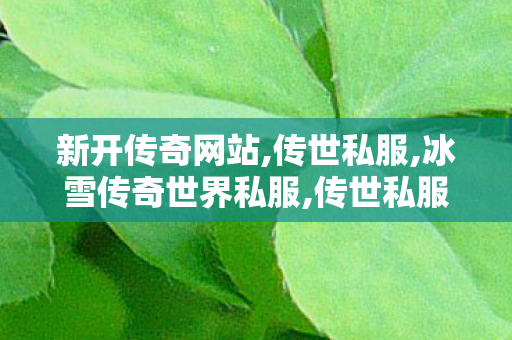 新开传奇网站,传世私服,冰雪传奇世界私服,传世私服