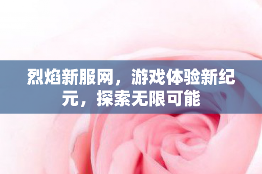 烈焰新服网，游戏体验新纪元，探索无限可能