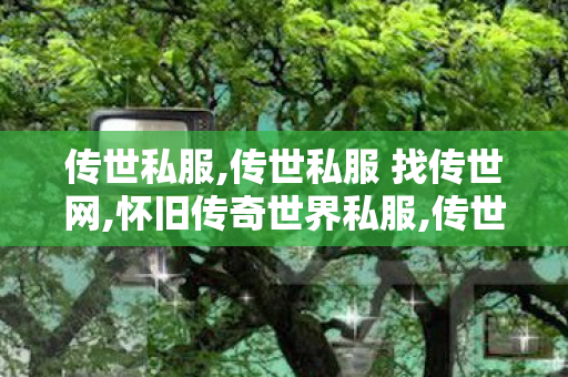 传世私服,传世私服 找传世网,怀旧传奇世界私服,传世私服 找传世网