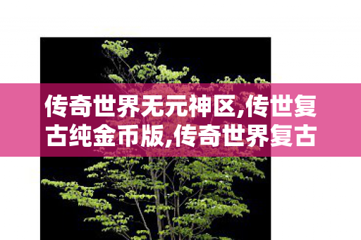 传奇世界无元神区,传世复古纯金币版,传奇世界复古,传世复古纯金币版
