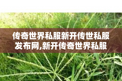 传奇世界私服新开传世私服发布网,新开传奇世界私服网,传奇世界私服网址,新开传奇世界私服网