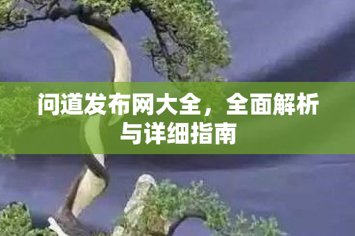 问道发布网大全，全面解析与详细指南