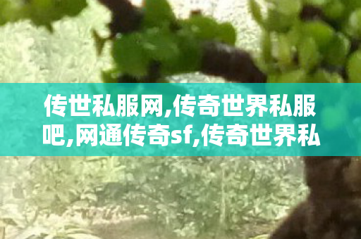 传世私服网,传奇世界私服吧,网通传奇sf,传奇世界私服吧