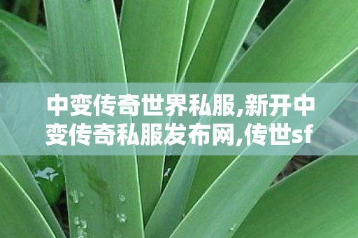 中变传奇世界私服,新开中变传奇私服发布网,传世sf发布网站,新开中变传奇私服发布网